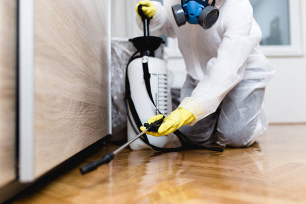 Best Pest Control for Businesses  in Elton, LA