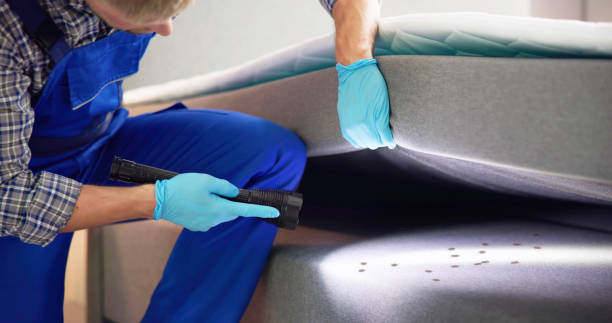 Best Pest Inspection Near Me  in Elton, LA