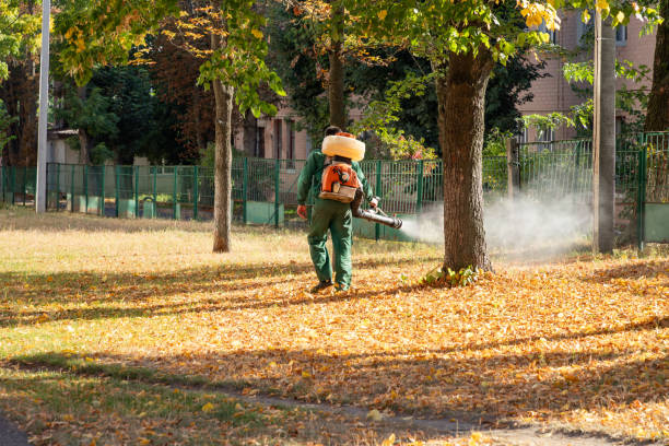 Reliable Elton, LA Pest Control Solutions