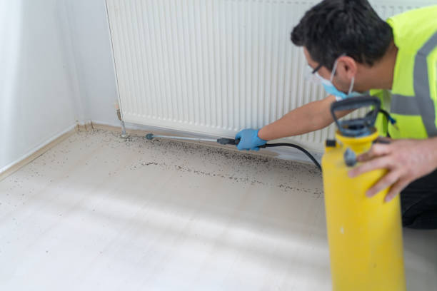 Pest Prevention Services in Elton, LA