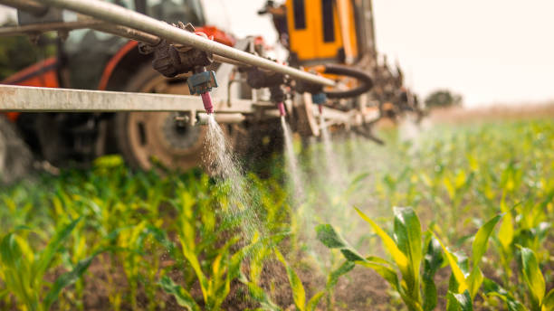 Best Best Pest Control Companies  in Elton, LA
